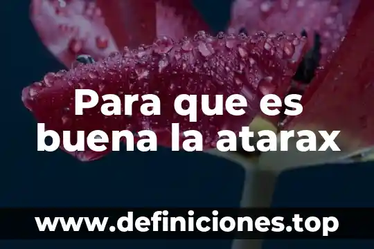 Que es un proposito de proyecto 3 Para que es buena la atarax