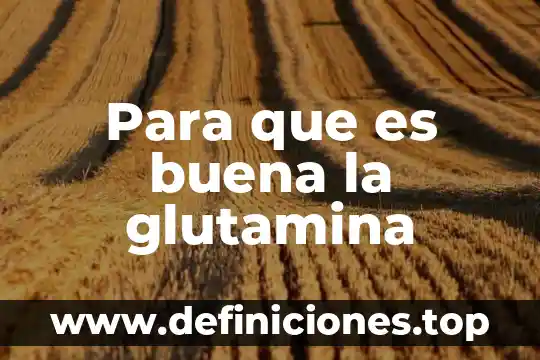 Para que es buena la glutamina