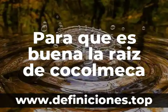 Para que es buena la raiz de cocolmeca