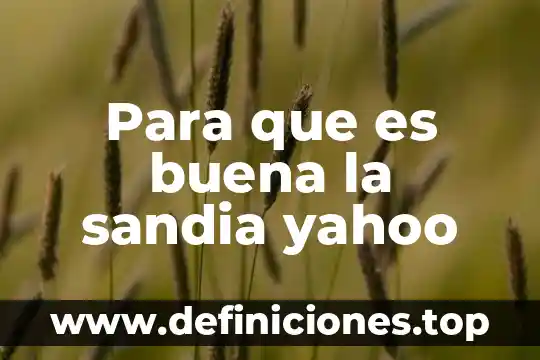 Para que es buena la sandia yahoo