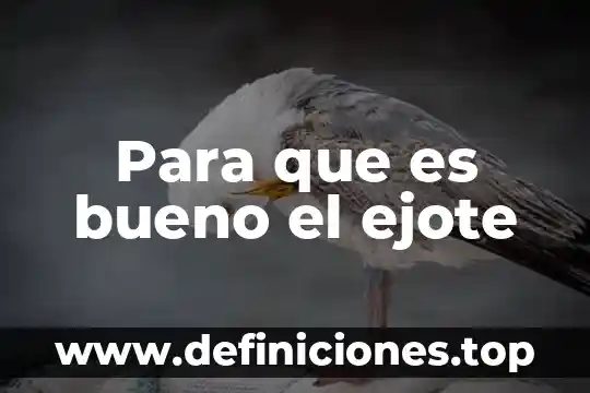 Que es bueno para la jiricua 6 Para que es bueno el ejote