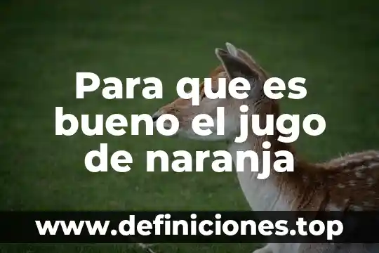 Que es el jugo y sus caracteristicas 5 Para que es bueno el jugo de naranja