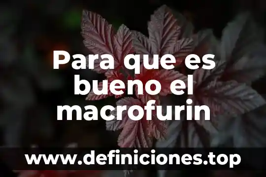 Qué es el costo anual total y cuánto es bueno 7 Para que es bueno el macrofurin