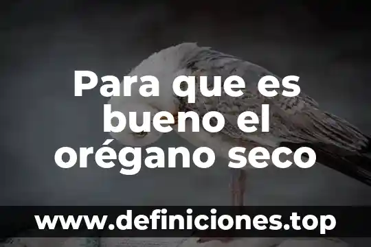 Para que es bueno el orégano seco