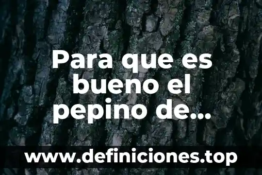 Qué es una ensalada de cuentos 4 Para que es bueno el pepino de ensalada