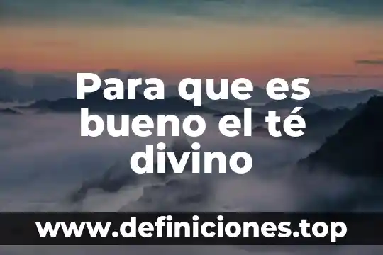 Qué es bueno para los coconos 4 Para que es bueno el té divino