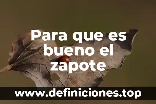 Que es lo bueno de la cultura 5 Para que es bueno el zapote