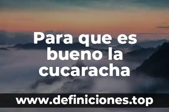 Para que es bueno la cucaracha