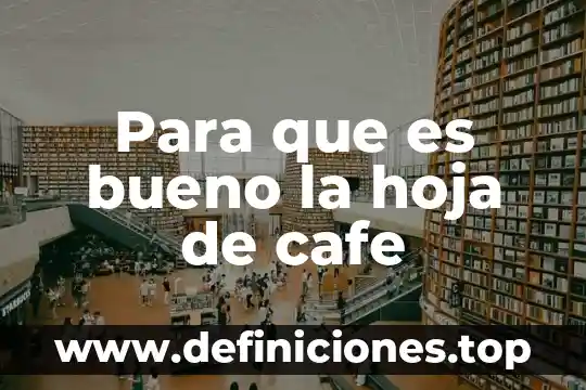 Para que es bueno la hoja de cafe