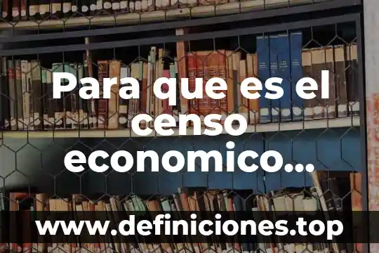 Para que es el censo economico 2019