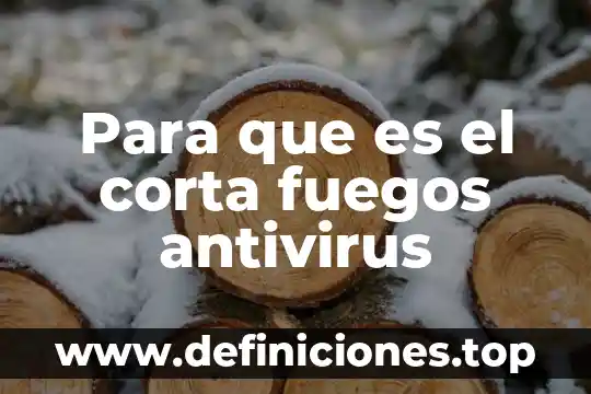 Qué es misión oración corta 3 Para que es el corta fuegos antivirus