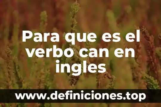 Para que es el verbo can en ingles