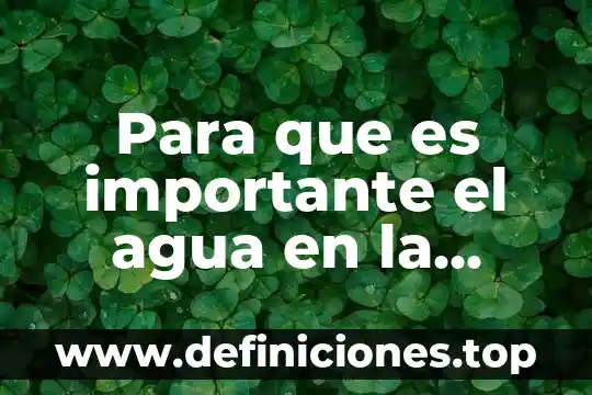 Para que es importante el agua en la obesidad