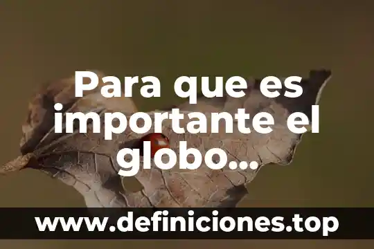 Que es el globo terraqueo para que sirve 3 Para que es importante el globo terraqueo