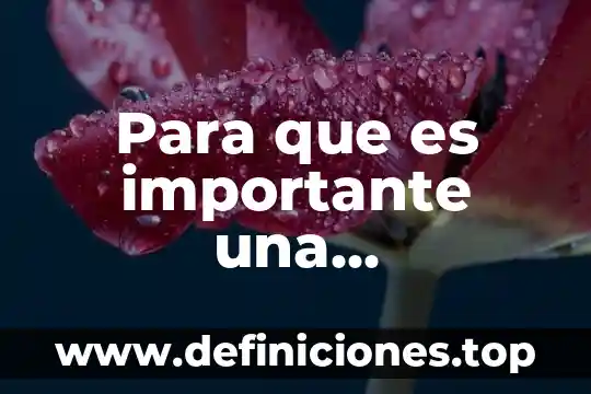 Para que es importante una cimentación