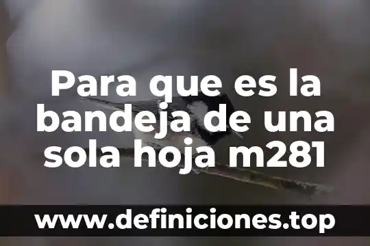 Que es quemarse sola 6 Para que es la bandeja de una sola hoja m281