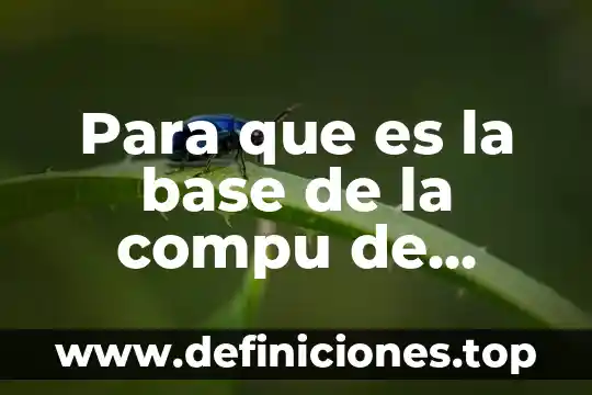 Que es que una base se oxide 3 Para que es la base de la compu de varias