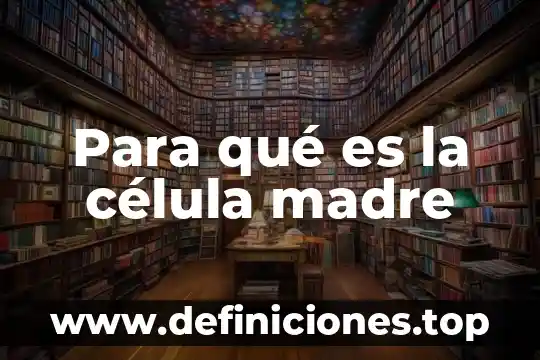 Que es y como es una célula 3 Para qué es la célula madre