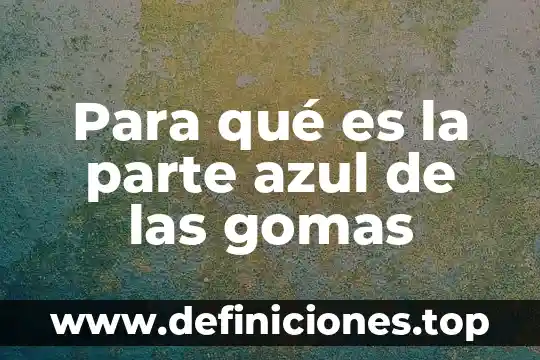 Panto de la parte de abajo que es doble 4 Para qué es la parte azul de las gomas