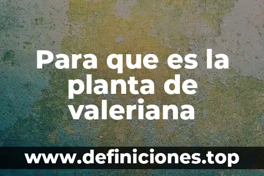 Para que es la planta de valeriana
