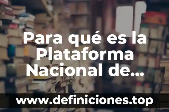 Que es un consejo nacional de turismo 8 Para qué es la Plataforma Nacional de Transparencia