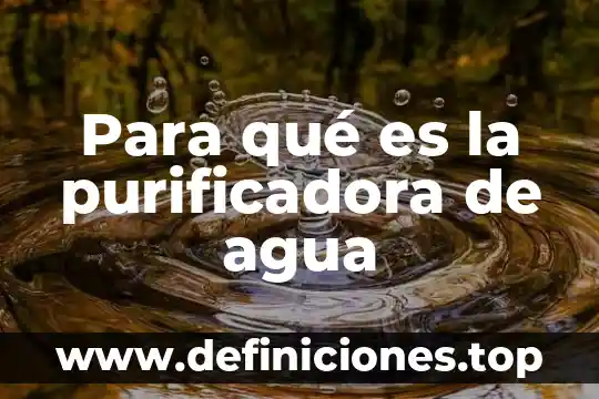 Para qué es la purificadora de agua