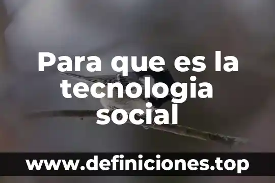 Para que es la tecnologia social
