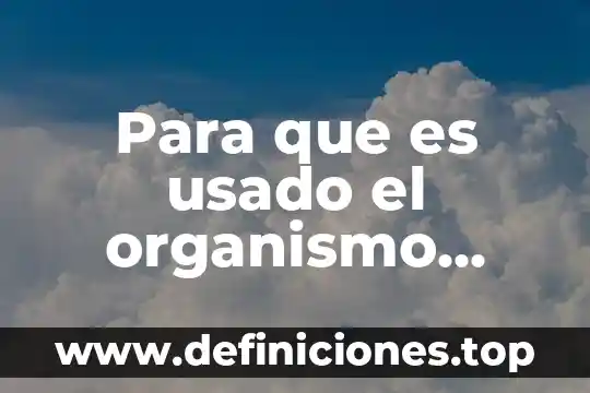 Qué es organismo ictiofagos 3 Para que es usado el organismo transgénico