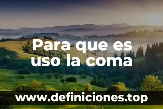 Para que es uso la coma