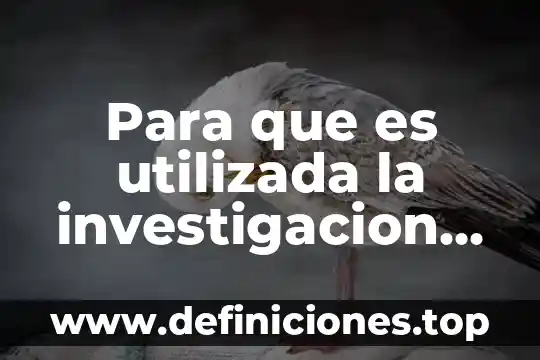 Investigación de que es un dinamómetro 6 Para que es utilizada la investigacion cuantitativa