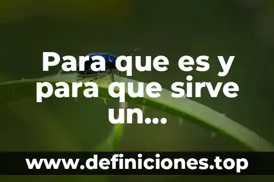Que es y para que sirve la instrucción if 3 Para que es y para que sirve un organigrama