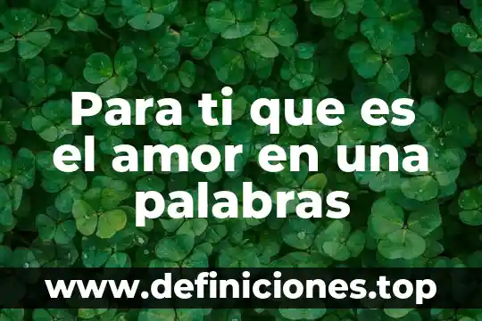 Para ti que es el sentido de la vida 3 Para ti que es el amor en una palabras