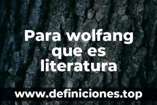 Que es llano en literatura 6 Para wolfang que es literatura