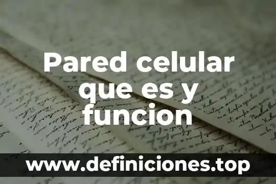 Qué es y para qué sirve la respiración celular 5 Pared celular que es y funcion
