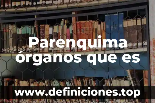 Qué es la morfología y función de los órganos 3 Parenquima órganos que es