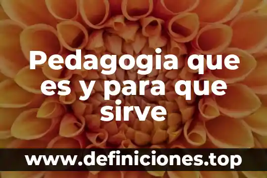 Que es numero de revisionde un ssd kingston 4 Pedagogia que es y para que sirve