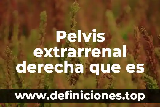 Pelvis extrarrenal derecha que es