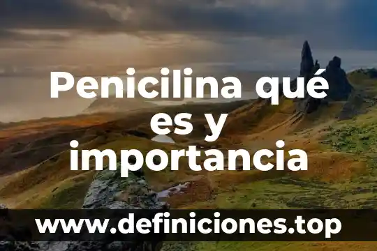 Que que es la importancia 3 Penicilina qué es y importancia