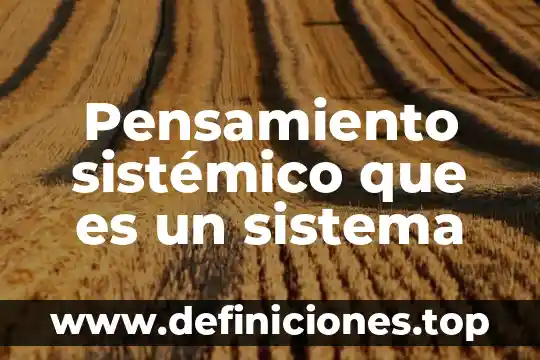 Que es un sintoma sistemico fisioplogia 3 Pensamiento sistémico que es un sistema