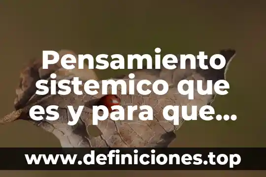 Que es un sintoma sistemico fisioplogia 4 Pensamiento sistemico que es y para que sirve en enfermeria