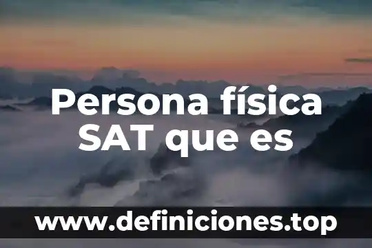 Persona física SAT que es