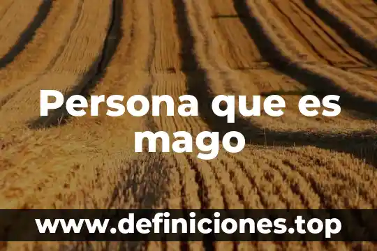 Qué es una persona moral y como se conforma 6 Persona que es mago