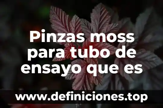 Que es el es ensayo 7 Pinzas moss para tubo de ensayo que es