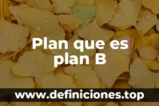 Plan que es plan B