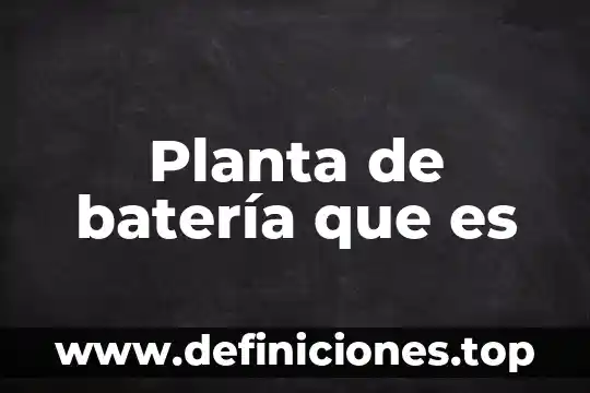Planta de batería que es