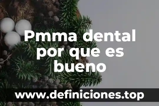 Qué es el mobiliario anexo a la unidad dental 5 Pmma dental por que es bueno