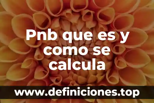 Que es y como se calcula la probabilidad 7 Pnb que es y como se calcula