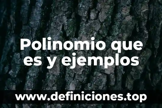 Que es una descripcion en general 7 Polinomio que es y ejemplos