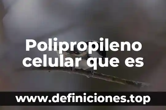Que es el codigo mmi en mi celular 3 Polipropileno celular que es