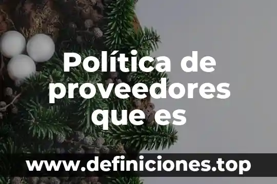 Que es la politica criminal de juan bustos 8 Política de proveedores que es